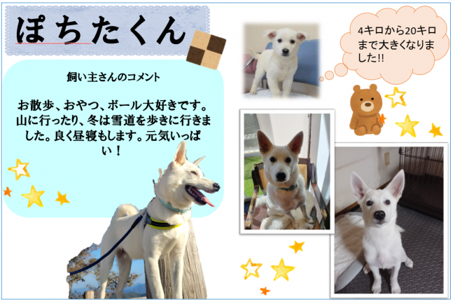 ぽちた