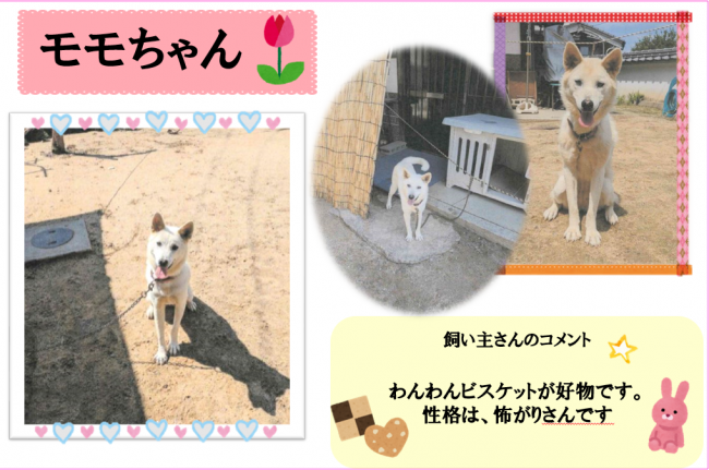 モモ