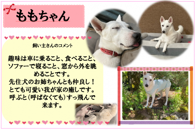 もも