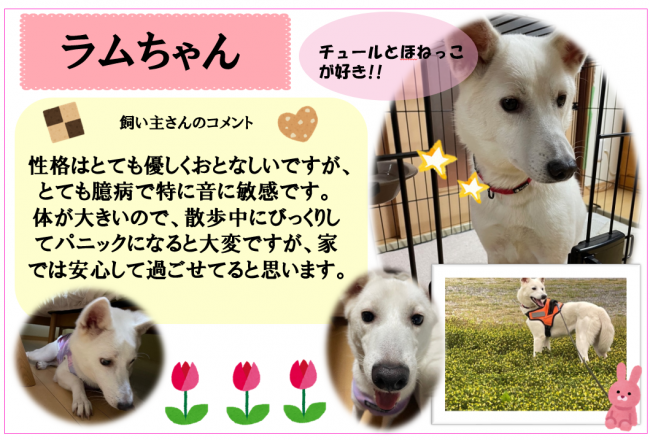 ラム