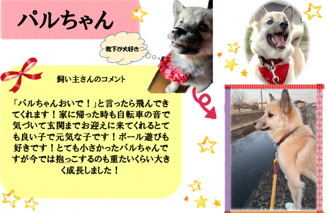 パル