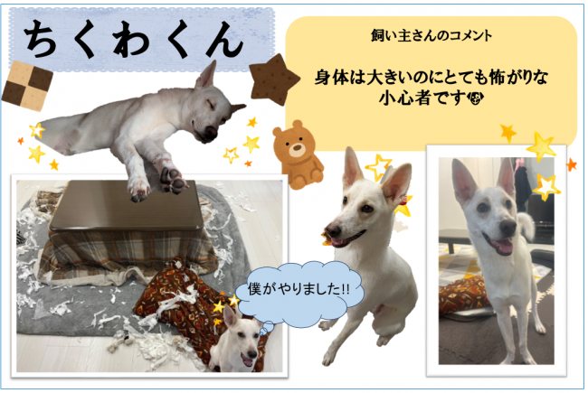 ちくわ