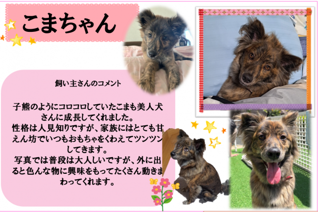 こま