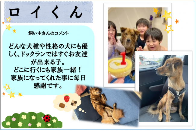 ロイ