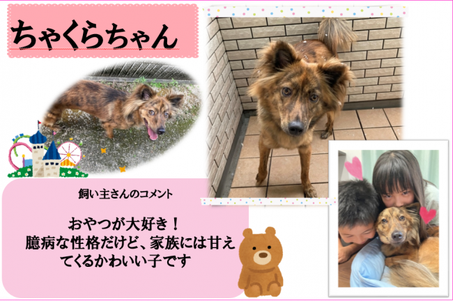 ちゃくら