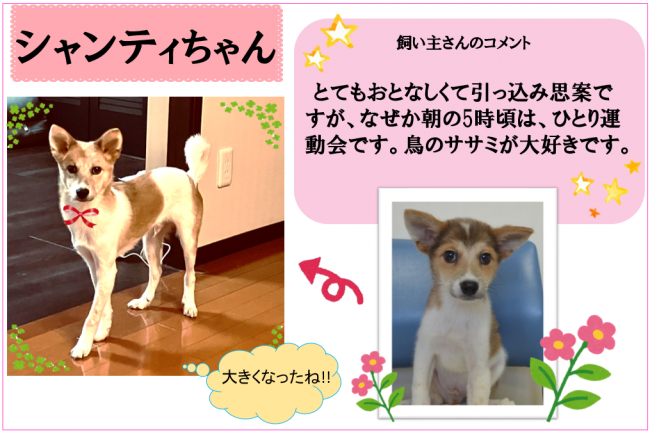 シャンティ