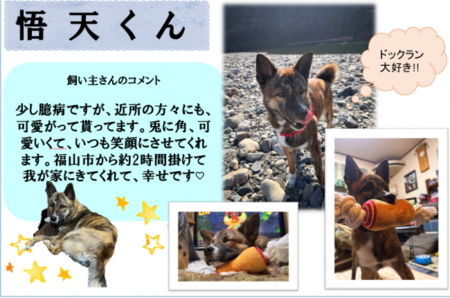 悟天