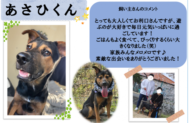 あさひ