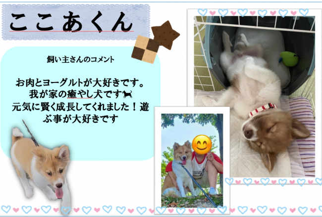 ここあ