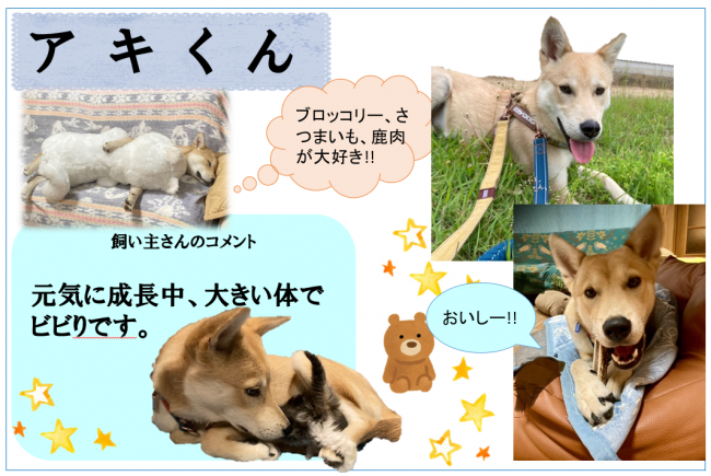 アキ