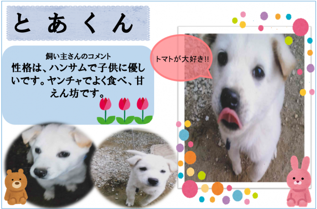 とあ