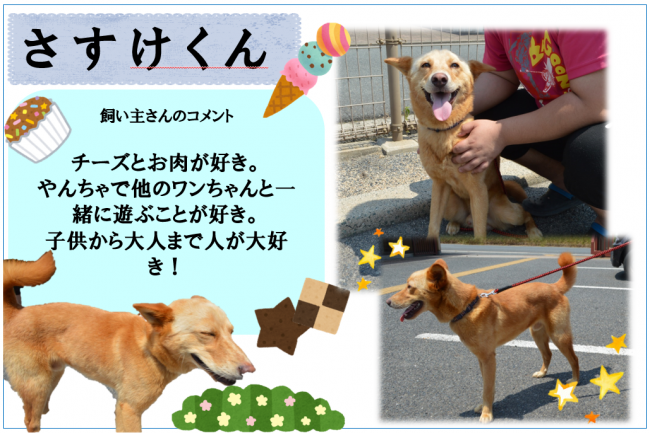 さすけ