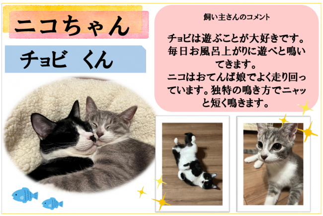 チョビ、ニコ