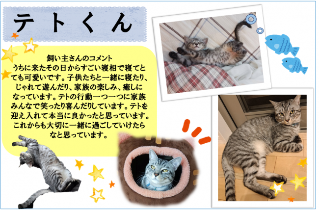 テト