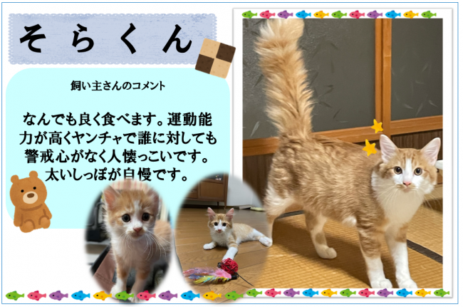 そら