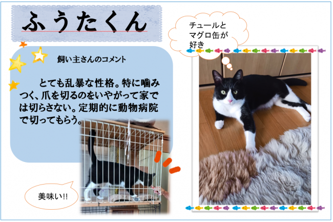 ふうた