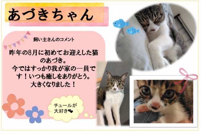 あづき