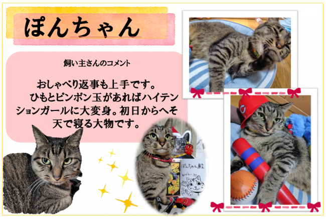 ぽん
