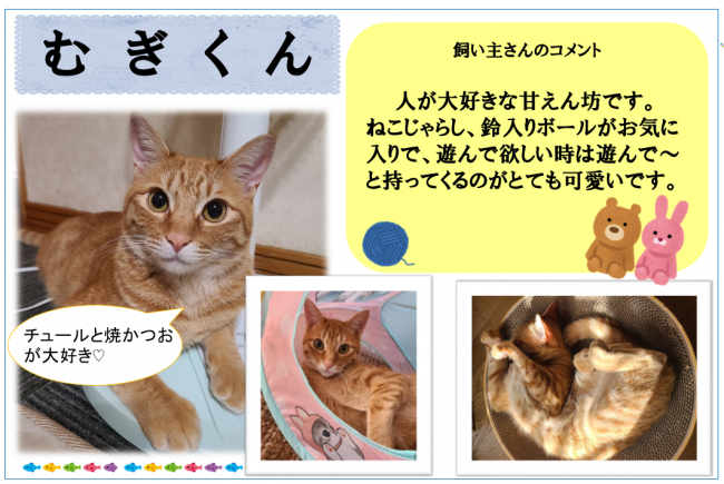 むぎ