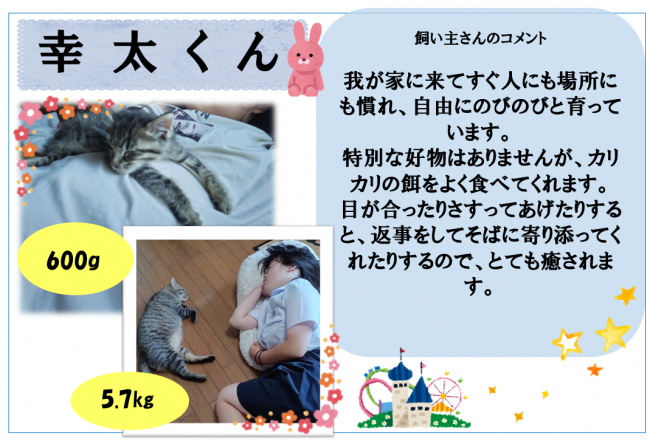 幸太