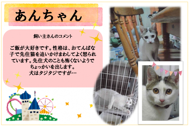 あん