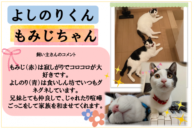 もみじ、よしのり