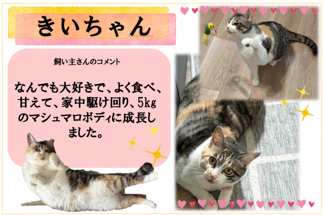 きい