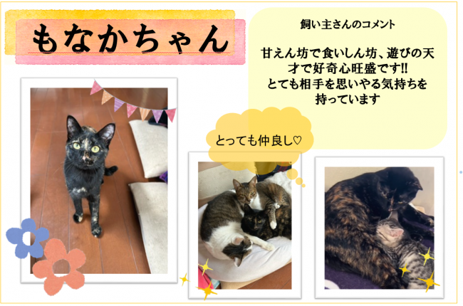 もなか
