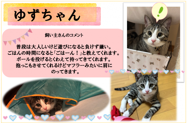 ゆず