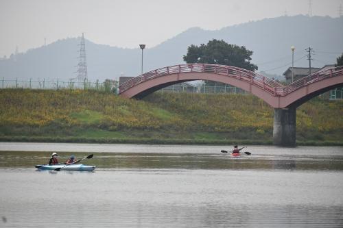 ポテンシャル探し