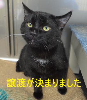 ふ９－５ゼオン