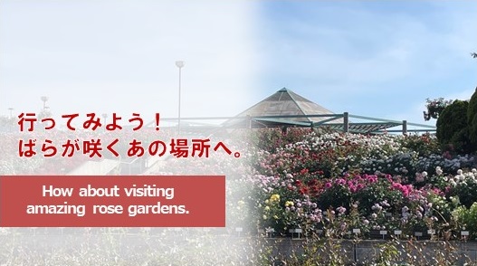 行ってみよう！ばらの咲くあの場所へ。