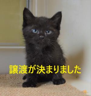 ふー5-3