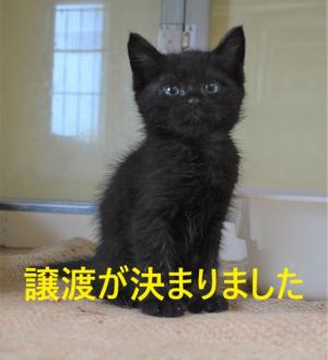 ふー5-4