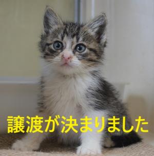 ふー5-5