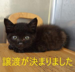 負5-4