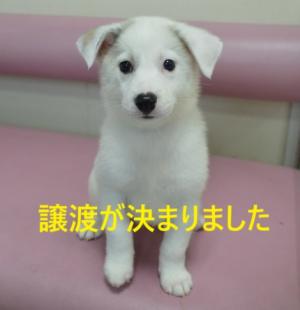 フ6-2