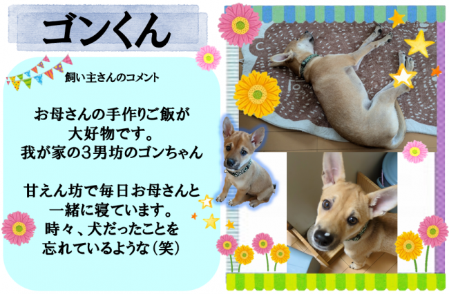 ゴン