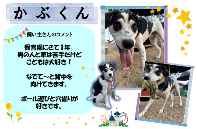 かぶ