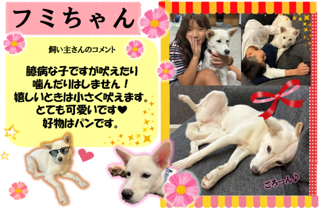 フミ