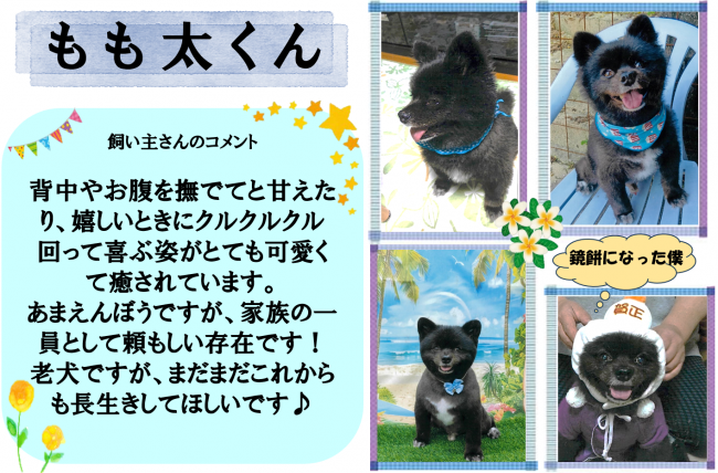 もも太