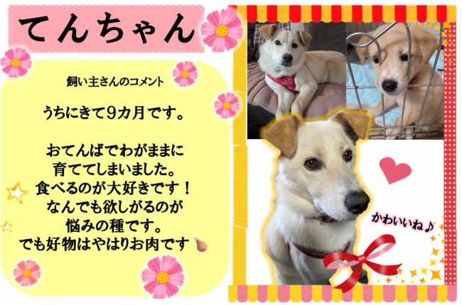 てん