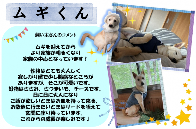 ムギ