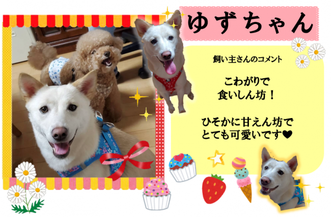 ゆず