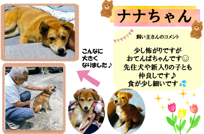 ナナ