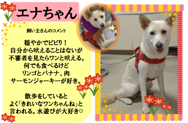 エナ