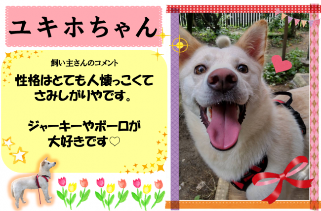 ユキホ