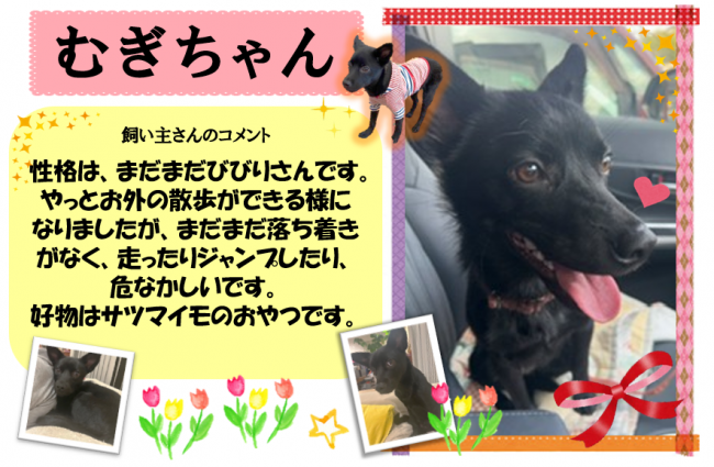 むぎ