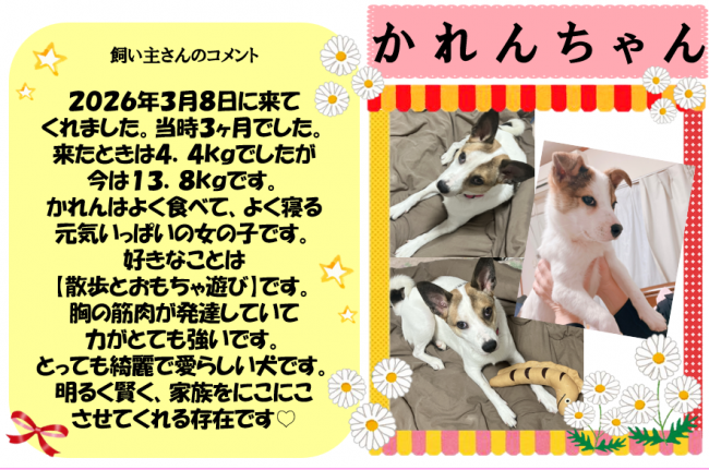 かれん