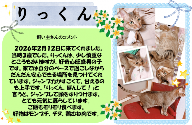 りっくん